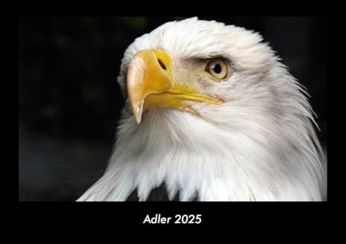 Adler 2025 Fotokalender DIN A3: Monatskalender mit Bild-Motiven von Haustieren, Bauernhof, wilden Tieren und Raubtieren Adler 2025 Fotokalender DIN A3: Monatskalender mit Bild-Motiven von Haustieren, Bauernhof, wilden Tieren und Raubtieren