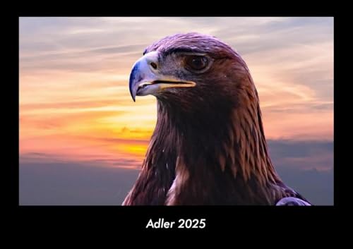 Adler 2025 Fotokalender DIN A3: Monatskalender mit Bild-Motiven von Haustieren, Bauernhof, wilden Tieren und Raubtieren Adler 2025 Fotokalender DIN A3: Monatskalender mit Bild-Motiven von Haustieren, Bauernhof, wilden Tieren und Raubtieren