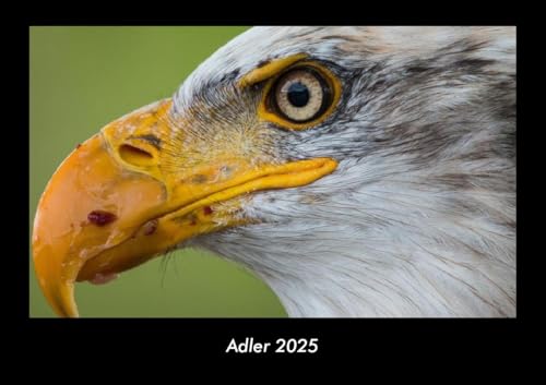 Adler 2025 Fotokalender DIN A3: Monatskalender mit Bild-Motiven von Haustieren, Bauernhof, wilden Tieren und Raubtieren Adler 2025 Fotokalender DIN A3: Monatskalender mit Bild-Motiven von Haustieren, Bauernhof, wilden Tieren und Raubtieren