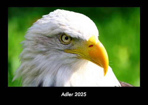 Adler 2025 Fotokalender DIN A3: Monatskalender mit Bild-Motiven von Haustieren, Bauernhof, wilden Tieren und Raubtieren Adler 2025 Fotokalender DIN A3: Monatskalender mit Bild-Motiven von Haustieren, Bauernhof, wilden Tieren und Raubtieren