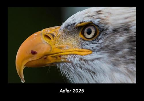 Adler 2025 Fotokalender DIN A3: Monatskalender mit Bild-Motiven von Haustieren, Bauernhof, wilden Tieren und Raubtieren Adler 2025 Fotokalender DIN A3: Monatskalender mit Bild-Motiven von Haustieren, Bauernhof, wilden Tieren und Raubtieren