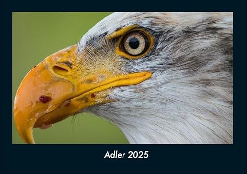 Adler 2025 Fotokalender DIN A4: Monatskalender mit Bild-Motiven von Haustieren, Bauernhof, wilden Tieren und Raubtieren Adler 2025 Fotokalender DIN A4: Monatskalender mit Bild-Motiven von Haustieren, Bauernhof, wilden Tieren und Raubtieren
