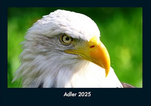 Adler 2025 Fotokalender DIN A4: Monatskalender mit Bild-Motiven von Haustieren, Bauernhof, wilden Tieren und Raubtieren von Vero Kalender