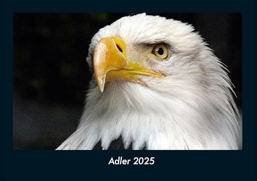 Adler 2025 Fotokalender DIN A4: Monatskalender mit Bild-Motiven von Haustieren, Bauernhof, wilden Tieren und Raubtieren Adler 2025 Fotokalender DIN A4: Monatskalender mit Bild-Motiven von Haustieren, Bauernhof, wilden Tieren und Raubtieren