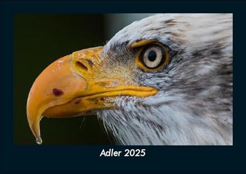 Adler 2025 Fotokalender DIN A5: Monatskalender mit Bild-Motiven von Haustieren, Bauernhof, wilden Tieren und Raubtieren Adler 2025 Fotokalender DIN A5: Monatskalender mit Bild-Motiven von Haustieren, Bauernhof, wilden Tieren und Raubtieren