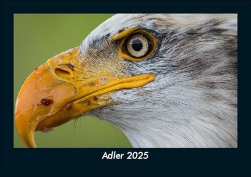 Adler 2025 Fotokalender DIN A5: Monatskalender mit Bild-Motiven von Haustieren, Bauernhof, wilden Tieren und Raubtieren Adler 2025 Fotokalender DIN A5: Monatskalender mit Bild-Motiven von Haustieren, Bauernhof, wilden Tieren und Raubtieren