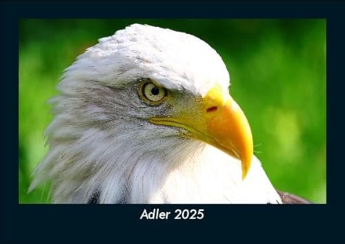 Adler 2025 Fotokalender DIN A5: Monatskalender mit Bild-Motiven von Haustieren, Bauernhof, wilden Tieren und Raubtieren Adler 2025 Fotokalender DIN A5: Monatskalender mit Bild-Motiven von Haustieren, Bauernhof, wilden Tieren und Raubtieren