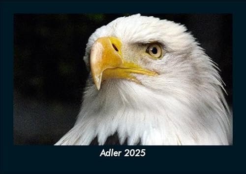 Adler 2025 Fotokalender DIN A5: Monatskalender mit Bild-Motiven von Haustieren, Bauernhof, wilden Tieren und Raubtieren Adler 2025 Fotokalender DIN A5: Monatskalender mit Bild-Motiven von Haustieren, Bauernhof, wilden Tieren und Raubtieren