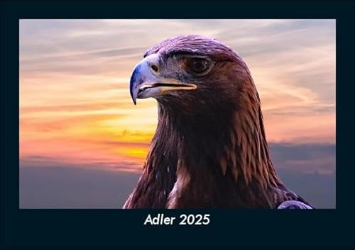 Adler 2025 Fotokalender DIN A5: Monatskalender mit Bild-Motiven von Haustieren, Bauernhof, wilden Tieren und Raubtieren Adler 2025 Fotokalender DIN A5: Monatskalender mit Bild-Motiven von Haustieren, Bauernhof, wilden Tieren und Raubtieren