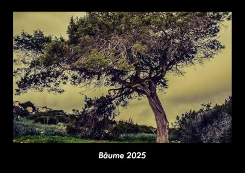 Bäume 2025 Fotokalender DIN A3: Monatskalender mit Bild-Motiven aus Fauna und Flora, Natur, Blumen und Pflanzen Bäume 2025 Fotokalender DIN A3: Monatskalender mit Bild-Motiven aus Fauna und Flora, Natur, Blumen und Pflanzen