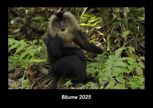 Bäume 2025 Fotokalender DIN A3: Monatskalender mit Bild-Motiven aus Fauna und Flora, Natur, Blumen und Pflanzen Bäume 2025 Fotokalender DIN A3: Monatskalender mit Bild-Motiven aus Fauna und Flora, Natur, Blumen und Pflanzen