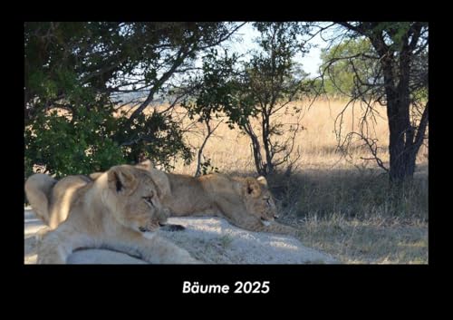 Bäume 2025 Fotokalender DIN A3: Monatskalender mit Bild-Motiven aus Fauna und Flora, Natur, Blumen und Pflanzen Bäume 2025 Fotokalender DIN A3: Monatskalender mit Bild-Motiven aus Fauna und Flora, Natur, Blumen und Pflanzen
