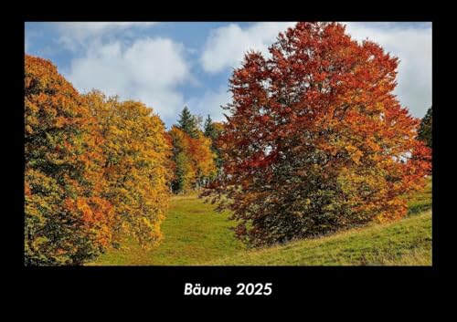 Bäume 2025 Fotokalender DIN A3: Monatskalender mit Bild-Motiven aus Orten und Städten, Ländern und Kontinenten Bäume 2025 Fotokalender DIN A3: Monatskalender mit Bild-Motiven aus Orten und Städten, Ländern und Kontinenten