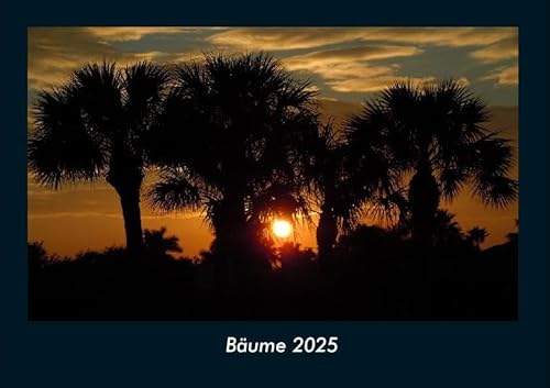 Bäume 2025 Fotokalender DIN A4: Monatskalender mit Bild-Motiven aus Fauna und Flora, Natur, Blumen und Pflanzen Bäume 2025 Fotokalender DIN A4: Monatskalender mit Bild-Motiven aus Fauna und Flora, Natur, Blumen und Pflanzen