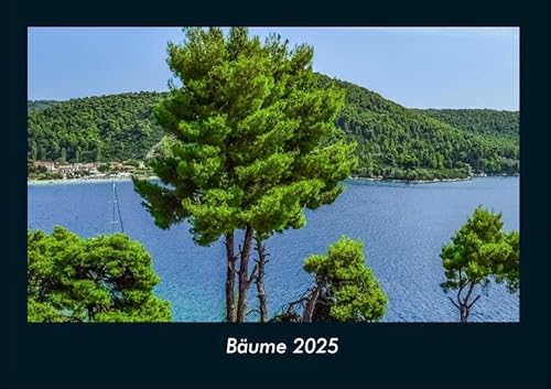 Bäume 2025 Fotokalender DIN A4: Monatskalender mit Bild-Motiven aus Fauna und Flora, Natur, Blumen und Pflanzen Bäume 2025 Fotokalender DIN A4: Monatskalender mit Bild-Motiven aus Fauna und Flora, Natur, Blumen und Pflanzen