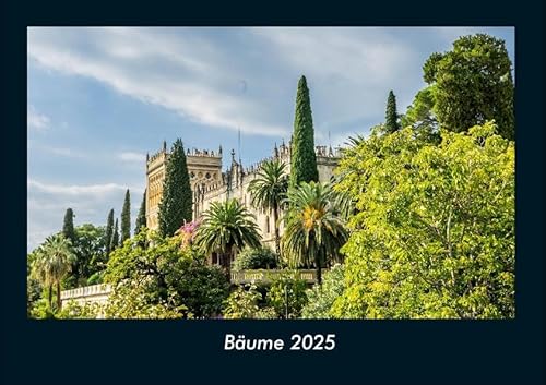 Bäume 2025 Fotokalender DIN A4: Monatskalender mit Bild-Motiven aus Fauna und Flora, Natur, Blumen und Pflanzen Bäume 2025 Fotokalender DIN A4: Monatskalender mit Bild-Motiven aus Fauna und Flora, Natur, Blumen und Pflanzen