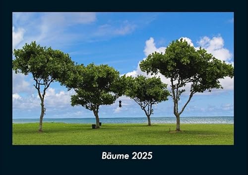 Bäume 2025 Fotokalender DIN A4: Monatskalender mit Bild-Motiven aus Fauna und Flora, Natur, Blumen und Pflanzen Bäume 2025 Fotokalender DIN A4: Monatskalender mit Bild-Motiven aus Fauna und Flora, Natur, Blumen und Pflanzen