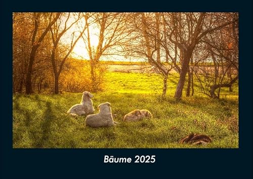 Bäume 2025 Fotokalender DIN A4: Monatskalender mit Bild-Motiven aus Fauna und Flora, Natur, Blumen und Pflanzen Bäume 2025 Fotokalender DIN A4: Monatskalender mit Bild-Motiven aus Fauna und Flora, Natur, Blumen und Pflanzen