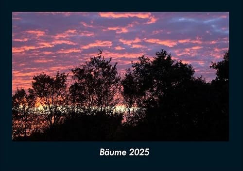Bäume 2025 Fotokalender DIN A4: Monatskalender mit Bild-Motiven aus Fauna und Flora, Natur, Blumen und Pflanzen Bäume 2025 Fotokalender DIN A4: Monatskalender mit Bild-Motiven aus Fauna und Flora, Natur, Blumen und Pflanzen