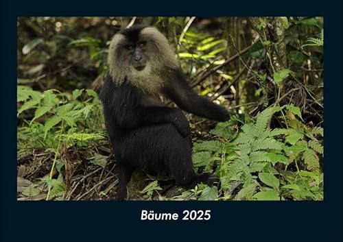 Bäume 2025 Fotokalender DIN A4: Monatskalender mit Bild-Motiven aus Fauna und Flora, Natur, Blumen und Pflanzen Bäume 2025 Fotokalender DIN A4: Monatskalender mit Bild-Motiven aus Fauna und Flora, Natur, Blumen und Pflanzen