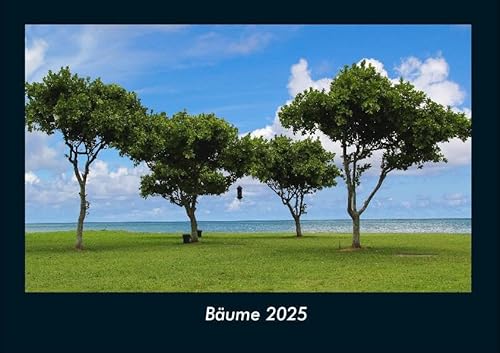 Bäume 2025 Fotokalender DIN A4: Monatskalender mit Bild-Motiven aus Fauna und Flora, Natur, Blumen und Pflanzen Bäume 2025 Fotokalender DIN A4: Monatskalender mit Bild-Motiven aus Fauna und Flora, Natur, Blumen und Pflanzen