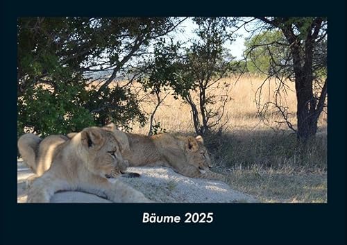 Bäume 2025 Fotokalender DIN A4: Monatskalender mit Bild-Motiven aus Fauna und Flora, Natur, Blumen und Pflanzen Bäume 2025 Fotokalender DIN A4: Monatskalender mit Bild-Motiven aus Fauna und Flora, Natur, Blumen und Pflanzen