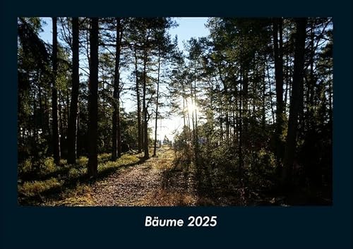 Bäume 2025 Fotokalender DIN A4: Monatskalender mit Bild-Motiven aus Fauna und Flora, Natur, Blumen und Pflanzen Bäume 2025 Fotokalender DIN A4: Monatskalender mit Bild-Motiven aus Fauna und Flora, Natur, Blumen und Pflanzen