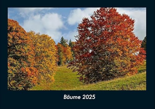 Bäume 2025 Fotokalender DIN A4: Monatskalender mit Bild-Motiven aus Orten und Städten, Ländern und Kontinenten Bäume 2025 Fotokalender DIN A4: Monatskalender mit Bild-Motiven aus Orten und Städten, Ländern und Kontinenten