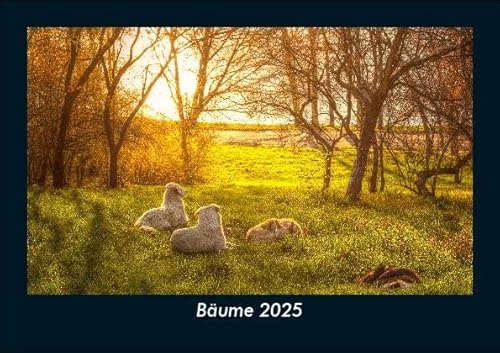 Bäume 2025 Fotokalender DIN A5: Monatskalender mit Bild-Motiven aus Fauna und Flora, Natur, Blumen und Pflanzen Bäume 2025 Fotokalender DIN A5: Monatskalender mit Bild-Motiven aus Fauna und Flora, Natur, Blumen und Pflanzen