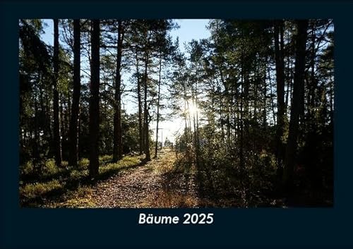 Bäume 2025 Fotokalender DIN A5: Monatskalender mit Bild-Motiven aus Fauna und Flora, Natur, Blumen und Pflanzen Bäume 2025 Fotokalender DIN A5: Monatskalender mit Bild-Motiven aus Fauna und Flora, Natur, Blumen und Pflanzen