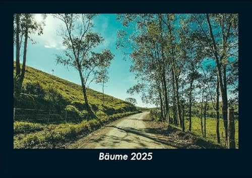Bäume 2025 Fotokalender DIN A5: Monatskalender mit Bild-Motiven aus Fauna und Flora, Natur, Blumen und Pflanzen Bäume 2025 Fotokalender DIN A5: Monatskalender mit Bild-Motiven aus Fauna und Flora, Natur, Blumen und Pflanzen