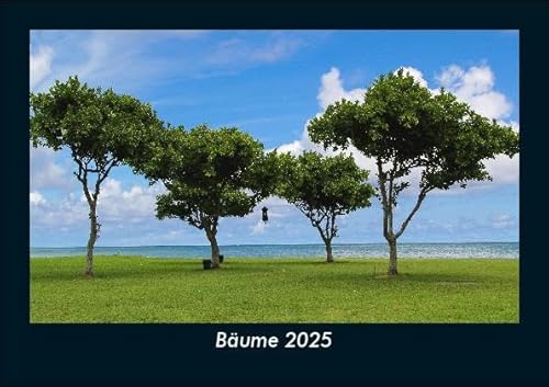 Bäume 2025 Fotokalender DIN A5: Monatskalender mit Bild-Motiven aus Fauna und Flora, Natur, Blumen und Pflanzen Bäume 2025 Fotokalender DIN A5: Monatskalender mit Bild-Motiven aus Fauna und Flora, Natur, Blumen und Pflanzen