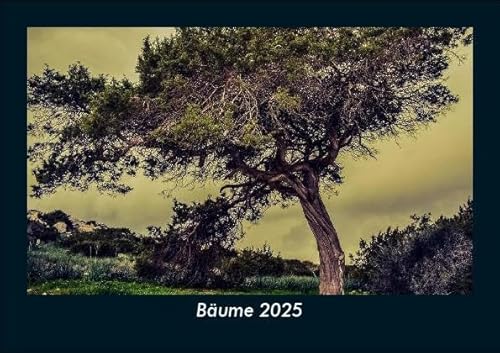 Bäume 2025 Fotokalender DIN A5: Monatskalender mit Bild-Motiven aus Fauna und Flora, Natur, Blumen und Pflanzen Bäume 2025 Fotokalender DIN A5: Monatskalender mit Bild-Motiven aus Fauna und Flora, Natur, Blumen und Pflanzen