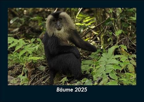 Bäume 2025 Fotokalender DIN A5: Monatskalender mit Bild-Motiven aus Fauna und Flora, Natur, Blumen und Pflanzen Bäume 2025 Fotokalender DIN A5: Monatskalender mit Bild-Motiven aus Fauna und Flora, Natur, Blumen und Pflanzen