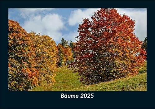 Bäume 2025 Fotokalender DIN A5: Monatskalender mit Bild-Motiven aus Orten und Städten, Ländern und Kontinenten Bäume 2025 Fotokalender DIN A5: Monatskalender mit Bild-Motiven aus Orten und Städten, Ländern und Kontinenten