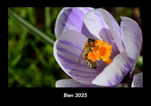 Bien 2025 Fotokalender DIN A3: Monatskalender mit Bild-Motiven von Haustieren, Bauernhof, wilden Tieren und Raubtieren Bien 2025 Fotokalender DIN A3: Monatskalender mit Bild-Motiven von Haustieren, Bauernhof, wilden Tieren und Raubtieren