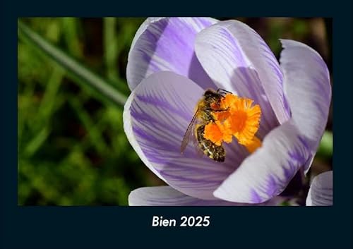 Bien 2025 Fotokalender DIN A4: Monatskalender mit Bild-Motiven von Haustieren, Bauernhof, wilden Tieren und Raubtieren Bien 2025 Fotokalender DIN A4: Monatskalender mit Bild-Motiven von Haustieren, Bauernhof, wilden Tieren und Raubtieren