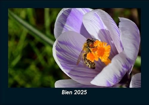 Bien 2025 Fotokalender DIN A5: Monatskalender mit Bild-Motiven von Haustieren, Bauernhof, wilden Tieren und Raubtieren Bien 2025 Fotokalender DIN A5: Monatskalender mit Bild-Motiven von Haustieren, Bauernhof, wilden Tieren und Raubtieren