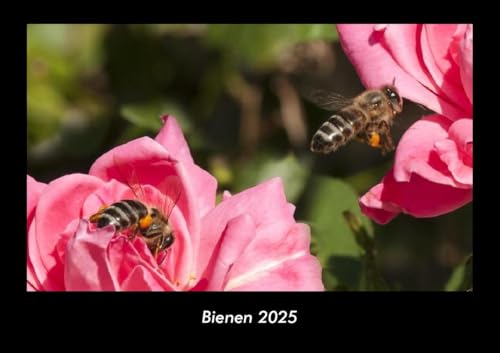 Bienen 2025 Fotokalender DIN A3: Monatskalender mit Bild-Motiven von Haustieren, Bauernhof, wilden Tieren und Raubtieren Bienen 2025 Fotokalender DIN A3: Monatskalender mit Bild-Motiven von Haustieren, Bauernhof, wilden Tieren und Raubtieren