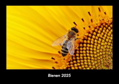 Bienen 2025 Fotokalender DIN A3: Monatskalender mit Bild-Motiven von Haustieren, Bauernhof, wilden Tieren und Raubtieren Bienen 2025 Fotokalender DIN A3: Monatskalender mit Bild-Motiven von Haustieren, Bauernhof, wilden Tieren und Raubtieren