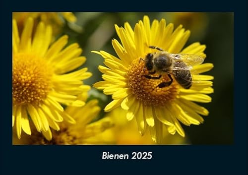 Bienen 2025 Fotokalender DIN A4: Monatskalender mit Bild-Motiven von Haustieren, Bauernhof, wilden Tieren und Raubtieren Bienen 2025 Fotokalender DIN A4: Monatskalender mit Bild-Motiven von Haustieren, Bauernhof, wilden Tieren und Raubtieren