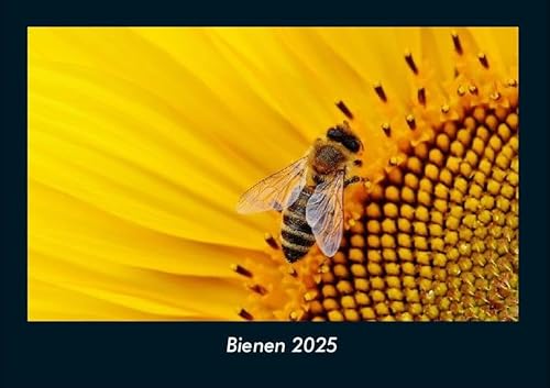 Bienen 2025 Fotokalender DIN A4: Monatskalender mit Bild-Motiven von Haustieren, Bauernhof, wilden Tieren und Raubtieren Bienen 2025 Fotokalender DIN A4: Monatskalender mit Bild-Motiven von Haustieren, Bauernhof, wilden Tieren und Raubtieren