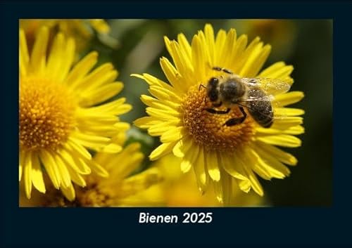 Bienen 2025 Fotokalender DIN A5: Monatskalender mit Bild-Motiven von Haustieren, Bauernhof, wilden Tieren und Raubtieren Bienen 2025 Fotokalender DIN A5: Monatskalender mit Bild-Motiven von Haustieren, Bauernhof, wilden Tieren und Raubtieren