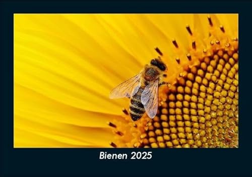 Bienen 2025 Fotokalender DIN A5: Monatskalender mit Bild-Motiven von Haustieren, Bauernhof, wilden Tieren und Raubtieren Bienen 2025 Fotokalender DIN A5: Monatskalender mit Bild-Motiven von Haustieren, Bauernhof, wilden Tieren und Raubtieren