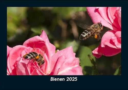 Bienen 2025 Fotokalender DIN A5: Monatskalender mit Bild-Motiven von Haustieren, Bauernhof, wilden Tieren und Raubtieren Bienen 2025 Fotokalender DIN A5: Monatskalender mit Bild-Motiven von Haustieren, Bauernhof, wilden Tieren und Raubtieren