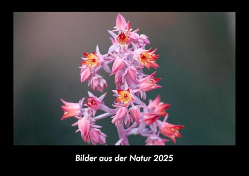 Bilder aus der Natur 2025 Fotokalender DIN A3: Monatskalender mit Bild-Motiven aus Fauna und Flora, Natur, Blumen und Pflanzen Bilder aus der Natur 2025 Fotokalender DIN A3: Monatskalender mit Bild-Motiven aus Fauna und Flora, Natur, Blumen und Pflanzen