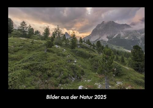 Bilder aus der Natur 2025 Fotokalender DIN A3: Monatskalender mit Bild-Motiven aus Fauna und Flora, Natur, Blumen und Pflanzen Bilder aus der Natur 2025 Fotokalender DIN A3: Monatskalender mit Bild-Motiven aus Fauna und Flora, Natur, Blumen und Pflanzen