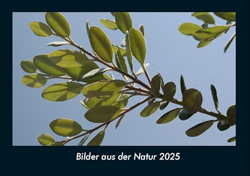 Bilder aus der Natur 2025 Fotokalender DIN A4: Monatskalender mit Bild-Motiven aus Fauna und Flora, Natur, Blumen und Pflanzen Bilder aus der Natur 2025 Fotokalender DIN A4: Monatskalender mit Bild-Motiven aus Fauna und Flora, Natur, Blumen und Pflanzen