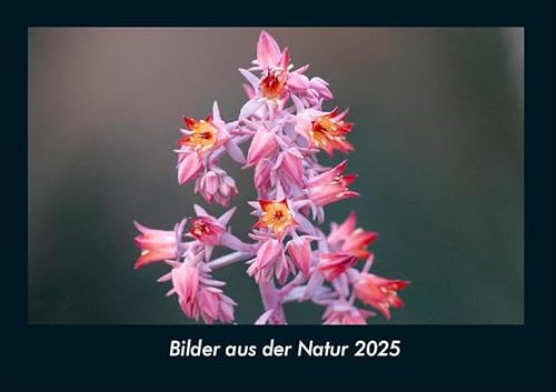 Bilder aus der Natur 2025 Fotokalender DIN A4: Monatskalender mit Bild-Motiven aus Fauna und Flora, Natur, Blumen und Pflanzen Bilder aus der Natur 2025 Fotokalender DIN A4: Monatskalender mit Bild-Motiven aus Fauna und Flora, Natur, Blumen und Pflanzen