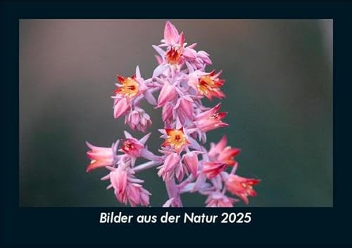 Bilder aus der Natur 2025 Fotokalender DIN A5: Monatskalender mit Bild-Motiven aus Fauna und Flora, Natur, Blumen und Pflanzen Bilder aus der Natur 2025 Fotokalender DIN A5: Monatskalender mit Bild-Motiven aus Fauna und Flora, Natur, Blumen und Pflanzen